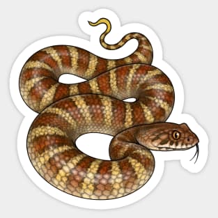 Death Adder Sticker